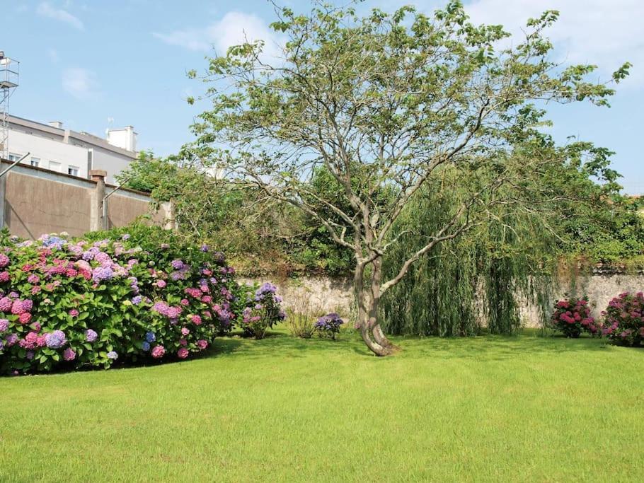 Precioso Apartamento Wifi, Aparcamiento, Piscina En 利亚内斯 外观 照片
